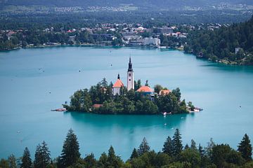 Die Insel Bled von Steven Marinus