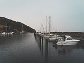 Regenachtige dag in de haven van Lisa Zet thumbnail