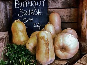 Butternusskürbis Verkauf Display