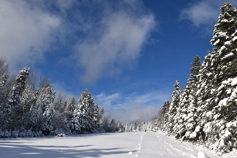 The recreational playground in winter by Claude Laprise