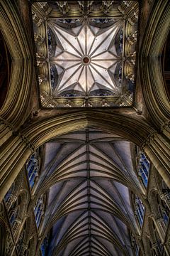 Nidaros Domkirke by Hanneke Luit