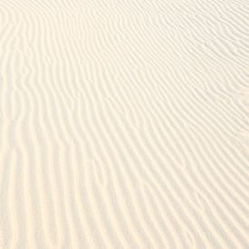 Strand abstracte lijnen en vormen van Caroline Drijber Guérain