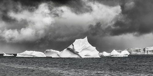 Panorama showing majestic icebergs under stormy skies in black and white by Chris Stenger