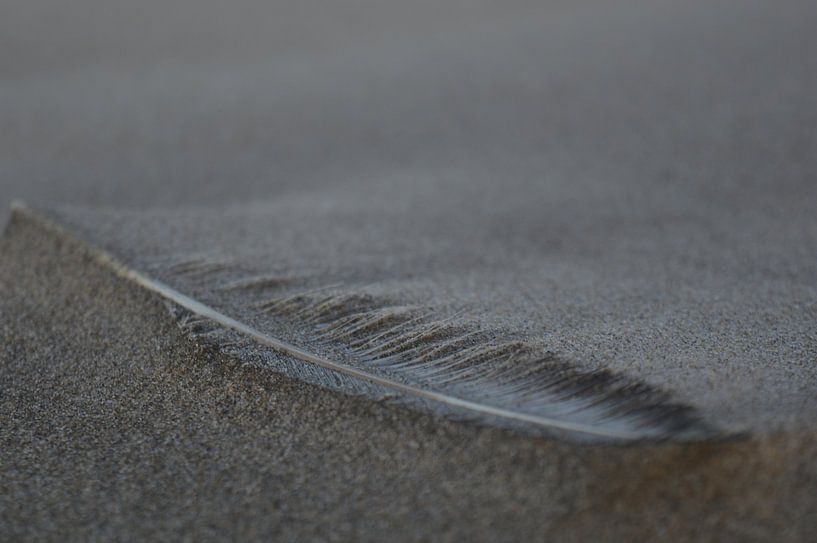 Frühling am Strand von Inge Schoonenberg