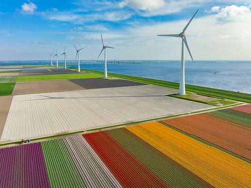 Tulpen in velden met windturbines in de achtergrond van boven