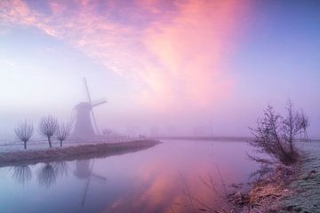 Foggy morning in Haastrecht by Ilya Korzelius