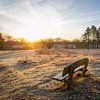 Genieten van de opkomende zon van Dirk van Egmond
