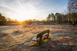 Enjoying the rising sun by Dirk van Egmond