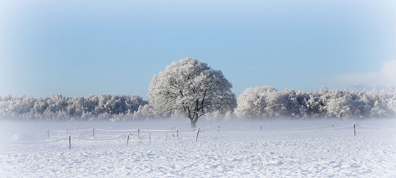 Witte wereld by Hanneke de Vries-Koning