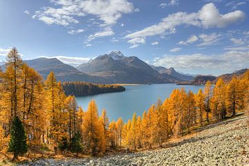 Autumn day at Silsersee in Engadin in Switzerland