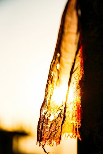 Prachtig zonlicht door de doek