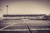 RAFC Football Stadium Tribune 2 van Sophie Wils thumbnail