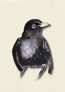 Amsel mit Schattenvogel Illustration