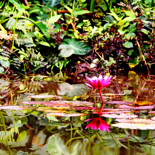 Rose Lelie’s Trang An Karst Route in Ninh Binh, Vietnam