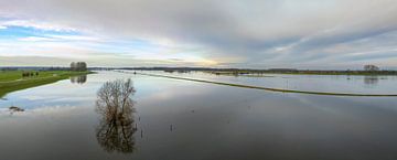 IJssel met overstroomde uiterwaarden