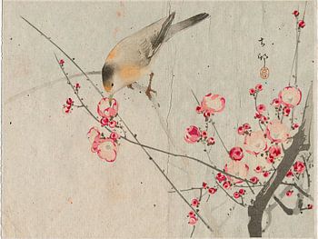 Japanse zangvogel op bloesemtak. Serie: Japanse vintage prenten