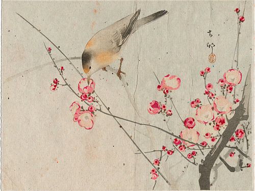 Japanischer Singvogel auf Blütenzweig. Serie: Japanische Vintage-Drucke