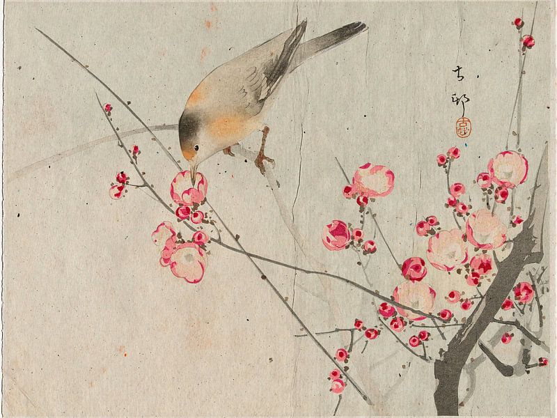 Japanese songbird on blossom branch. Series: vintage Japanese prints by Studio Pieternel