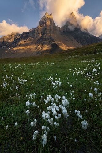 Veenpluis met in de achtergrond de mooie bergen van de Franse Alpen in het laatse zonlicht.
