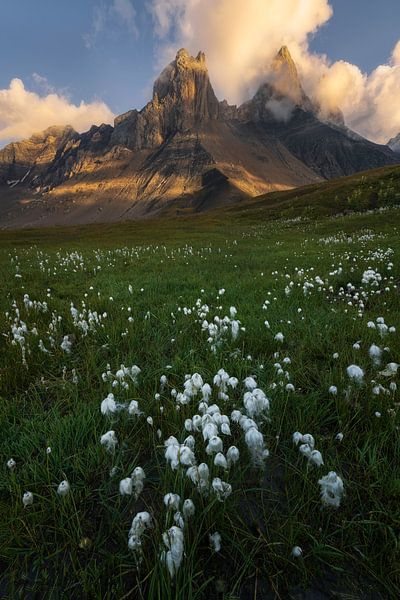 Peat moss with in the background the beautiful mountains of the French Alps in the last sunlight. by Jos Pannekoek