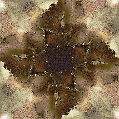 Salix Borealix