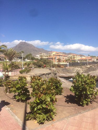 Plajas Los Americanas