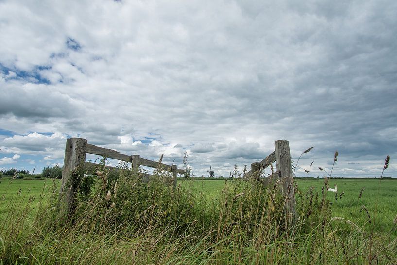 Fence shows you the way, summer by Hans Goudriaan