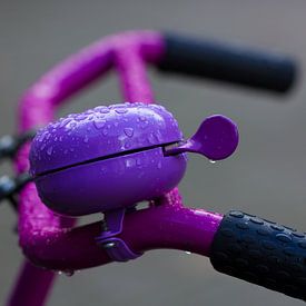Cloche à vélo violette sur martin von rotz