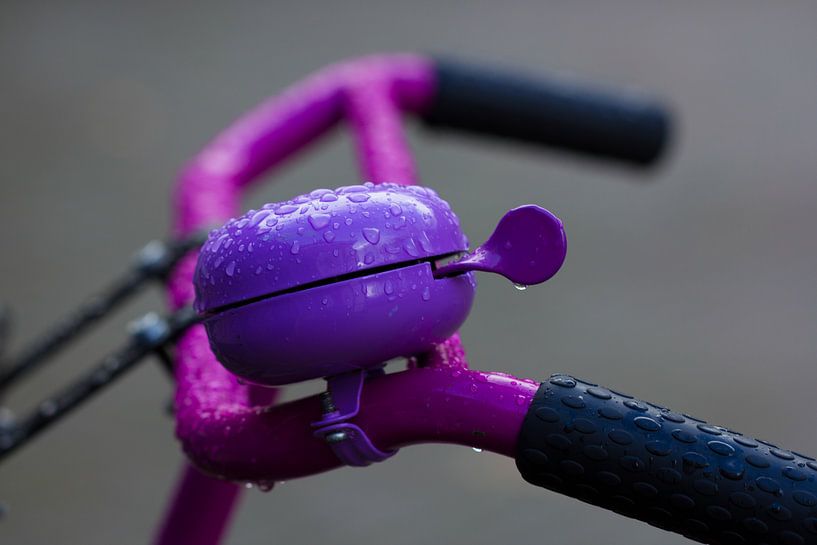 Cloche à vélo violette par martin von rotz