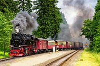 Stoomtrein in de Harz