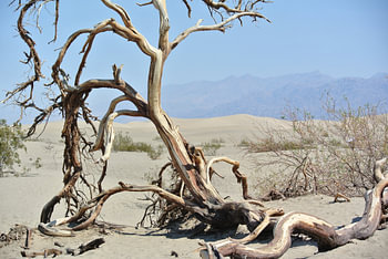 Death Valley