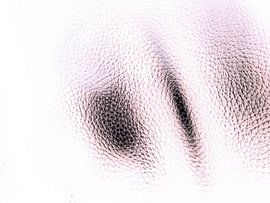 Trotting by Peter Norden