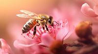 A Bee in a Fairy Tale Setting of Pink Flowers and Soft Bokeh