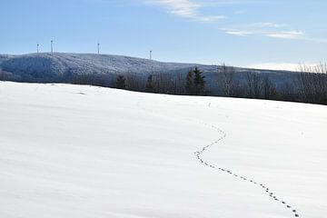 Voetafdrukken in de sneeuw in de winter van Claude Laprise