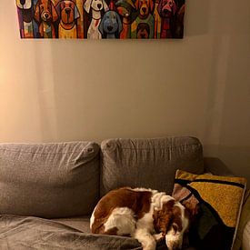 Kundenfoto: Wagende Farbe Freude von ARTEO Gemälde, auf Leinwand