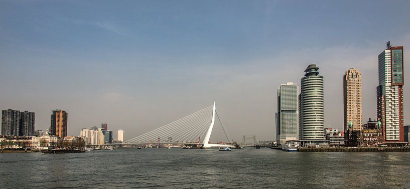 Rotterdam van Harrie Muis