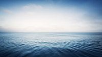 The Sea