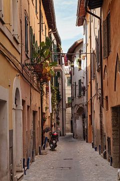 Foligno sur Rob Boon