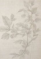 TW Living - abstract yarn 05