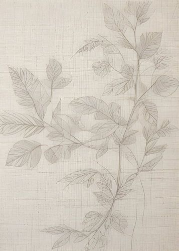 TW Living - abstract yarn 05