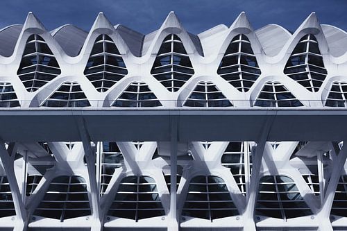 Museum van wetenschappen (Valencia)