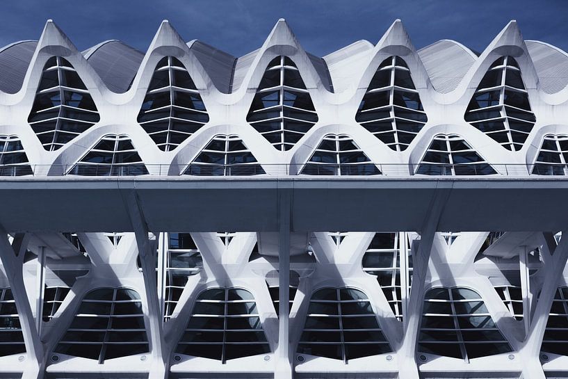 Museum van wetenschappen (Valencia) von Wesley Flaman