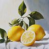 Three lemons in gentle harmony by Bianca ter Riet