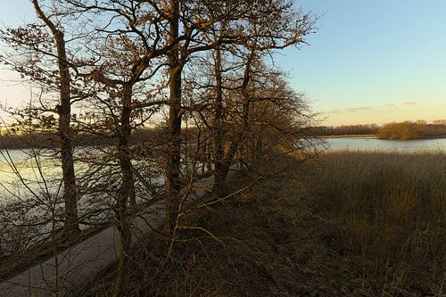 Gezicht op de vijvers Kreuzteich en Mittelteich in Riddagshausen bij Braunschweig