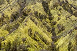 Nahaufnahme des Mount Batok