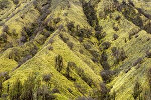 Gros plan sur le mont Batok