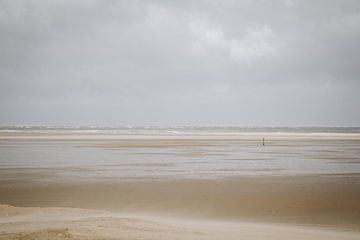 Foto van het strand bij de vuurtoren van Texel in de Waddenzee, Wadden wereld erfgoed | Nederlandse 