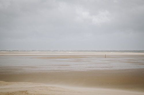 Foto van het strand bij de vuurtoren van Texel in de Waddenzee, Wadden wereld erfgoed | Nederlandse 