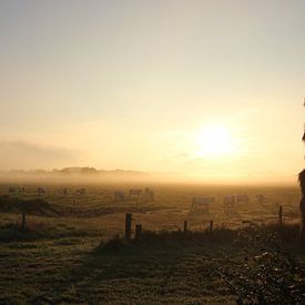 Texel Landschap 060 sur Starworks:  LinaLena van der Star