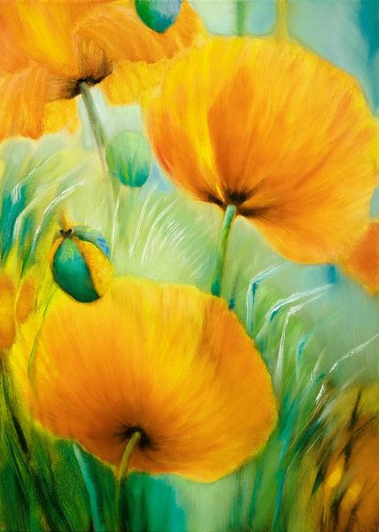 Poppy van Annette Schmucker